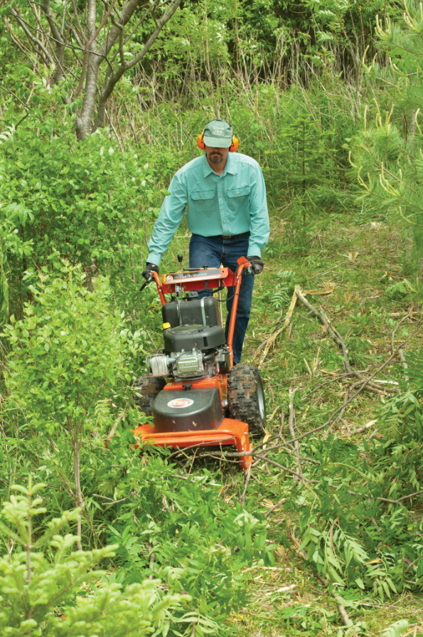 FAB mowing for a European woodlot