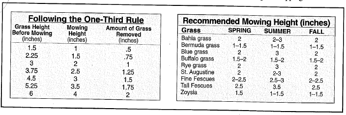 Grass Cutting Height Chart