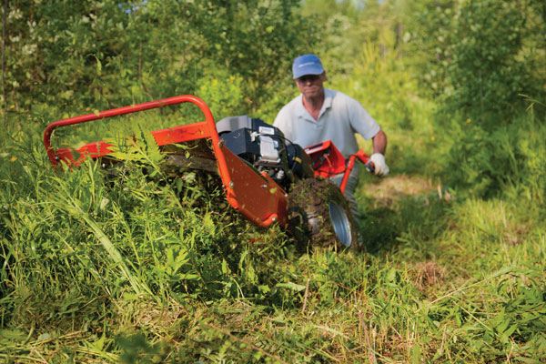 5 Steps for Clearing Overgrown Land - DR&#39;s Country Life Blog