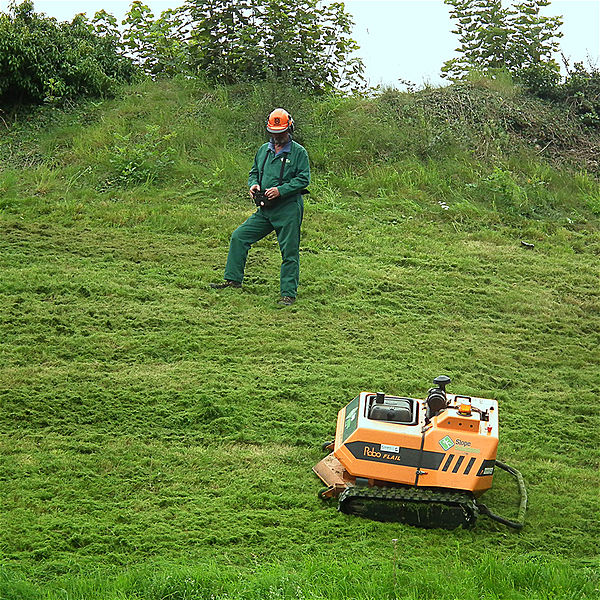 600px-RoboFlail_remote-controlled_mower